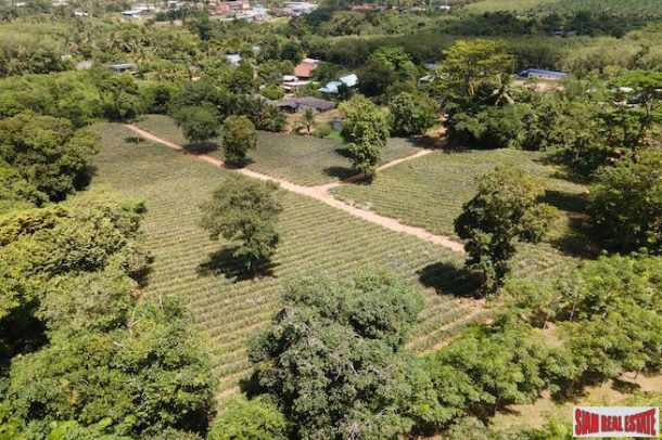 Mai Khao Land for Sale with Spectacular Views and Gentle Slope - Sub-Division Possible 2 to 7 Rai available-6