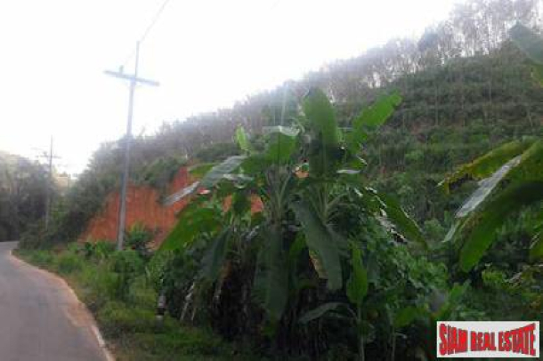 Large Land Plot for Sale in Beautiful Phang Nga-3