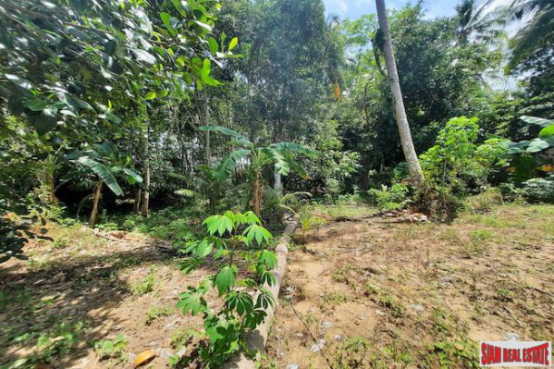 Over Two Rai of Krabi Land with House and Rubber Plantation and Great Sea Views of Thalen Bay for Sale-4