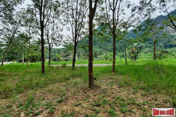 Over 10 Rai of Land for Sale with Rubber Plantation in Khao Thong, Krabi-4