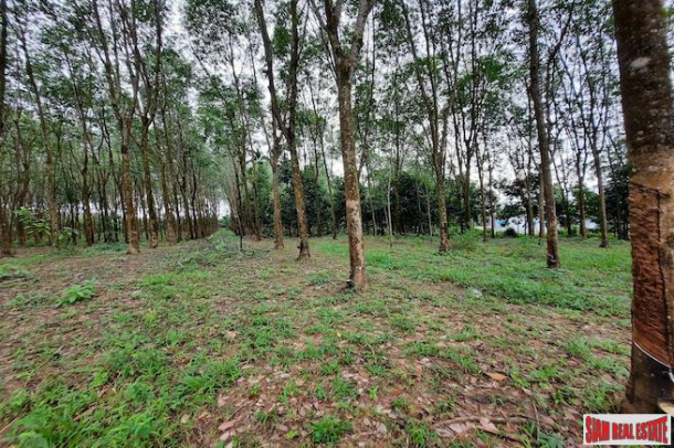 Over 10 Rai of Land for Sale with Rubber Plantation in Khao Thong, Krabi-5