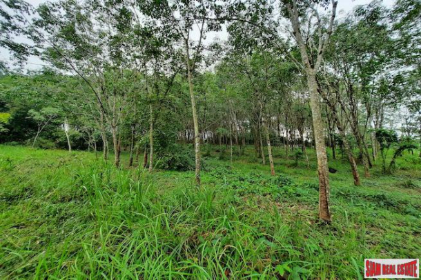 Over 10 Rai of Land for Sale with Rubber Plantation in Khao Thong, Krabi-9