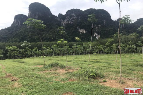 Over 28 Rai of Flat Land with Beautiful Mountain Views for Sale in Khao Thong-3
