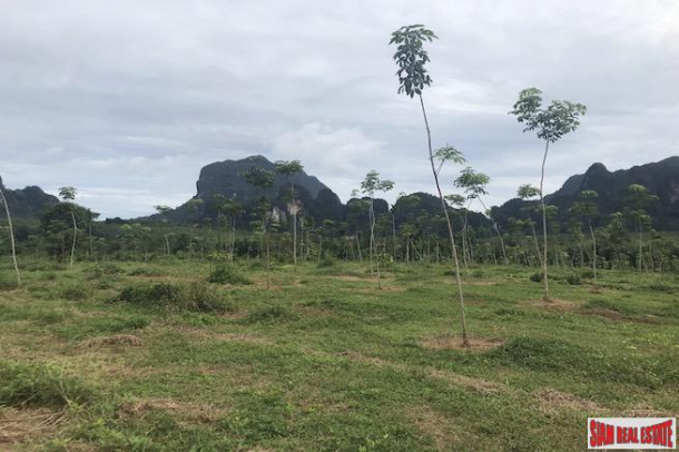Over 28 Rai of Flat Land with Beautiful Mountain Views for Sale in Khao Thong-7