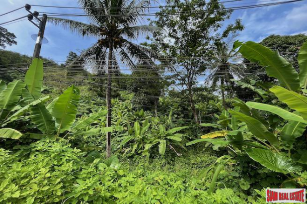 6+ Rai of Land for Sale in the Lush Tropical area of Sakhu, Phuket-3