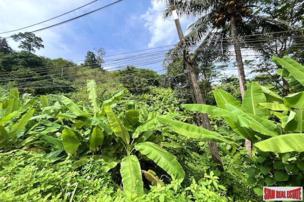 6+ Rai of Land for Sale in the Lush Tropical area of Sakhu, Phuket-9